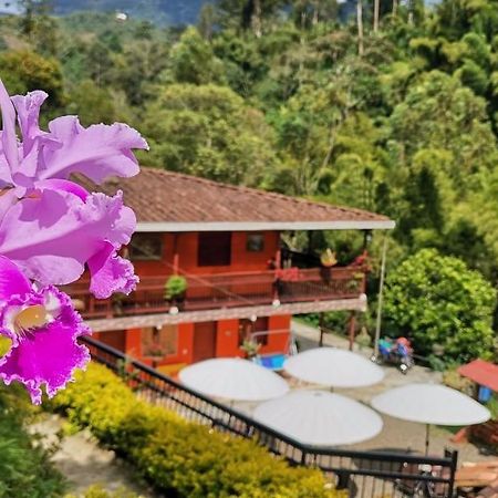 Hotel Orillas Del Pizano Jardin Kültér fotó