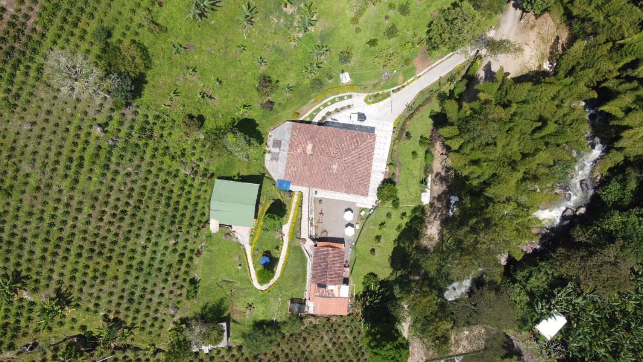 Hotel Orillas Del Pizano Jardin Kültér fotó