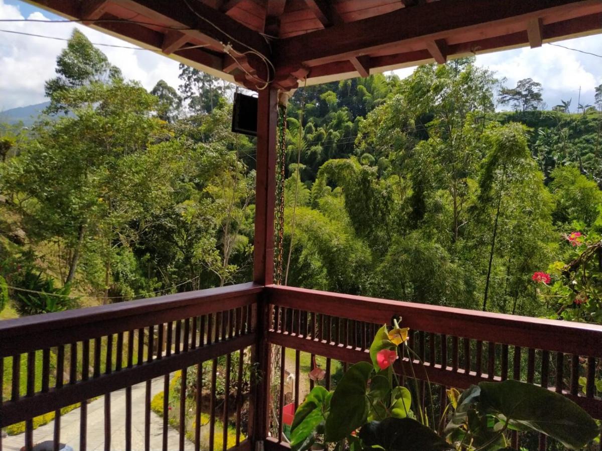 Hotel Orillas Del Pizano Jardin Kültér fotó