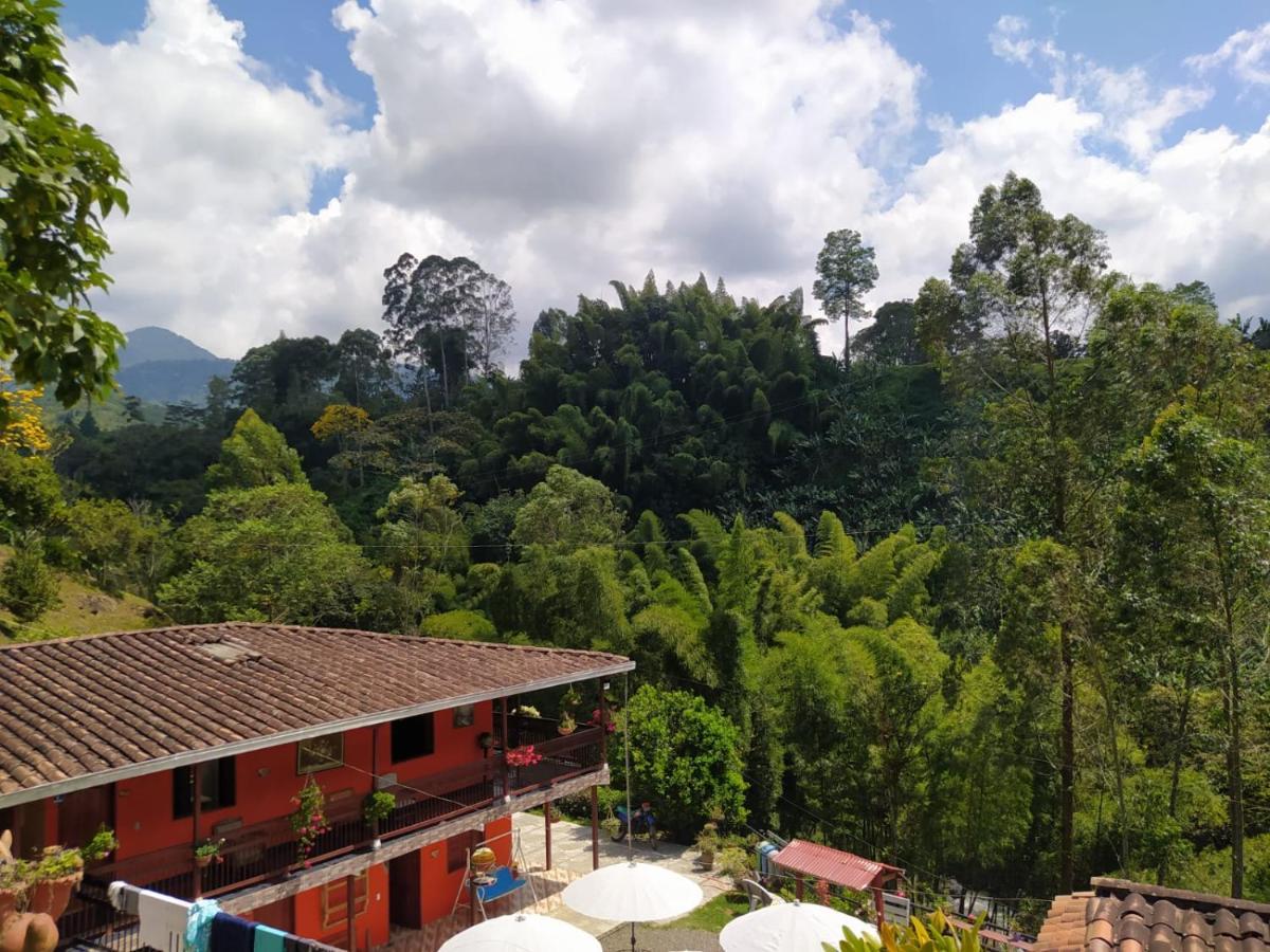 Hotel Orillas Del Pizano Jardin Kültér fotó