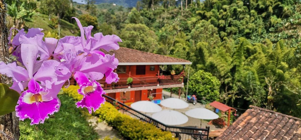 Hotel Orillas Del Pizano Jardin Kültér fotó