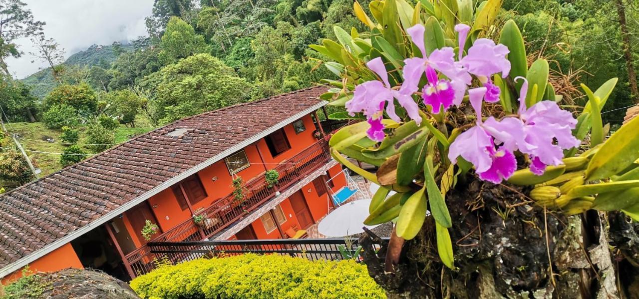 Hotel Orillas Del Pizano Jardin Kültér fotó