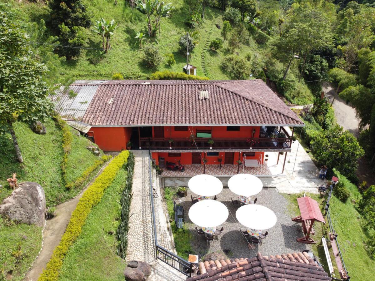 Hotel Orillas Del Pizano Jardin Kültér fotó