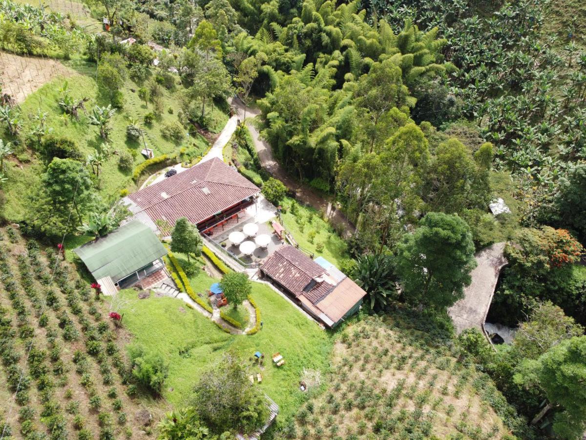 Hotel Orillas Del Pizano Jardin Kültér fotó