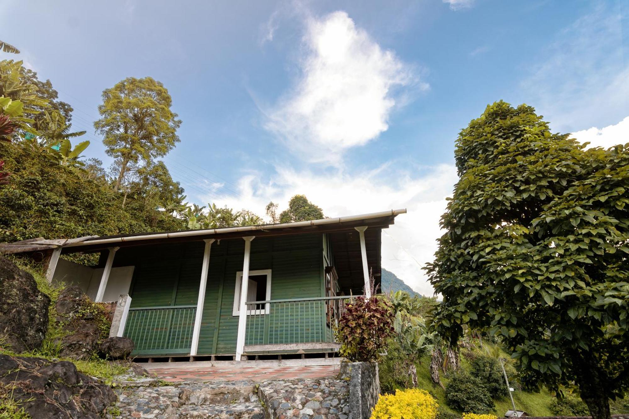 Hotel Orillas Del Pizano Jardin Kültér fotó