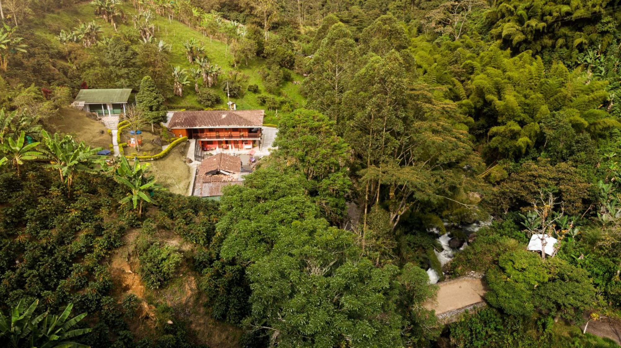 Hotel Orillas Del Pizano Jardin Kültér fotó