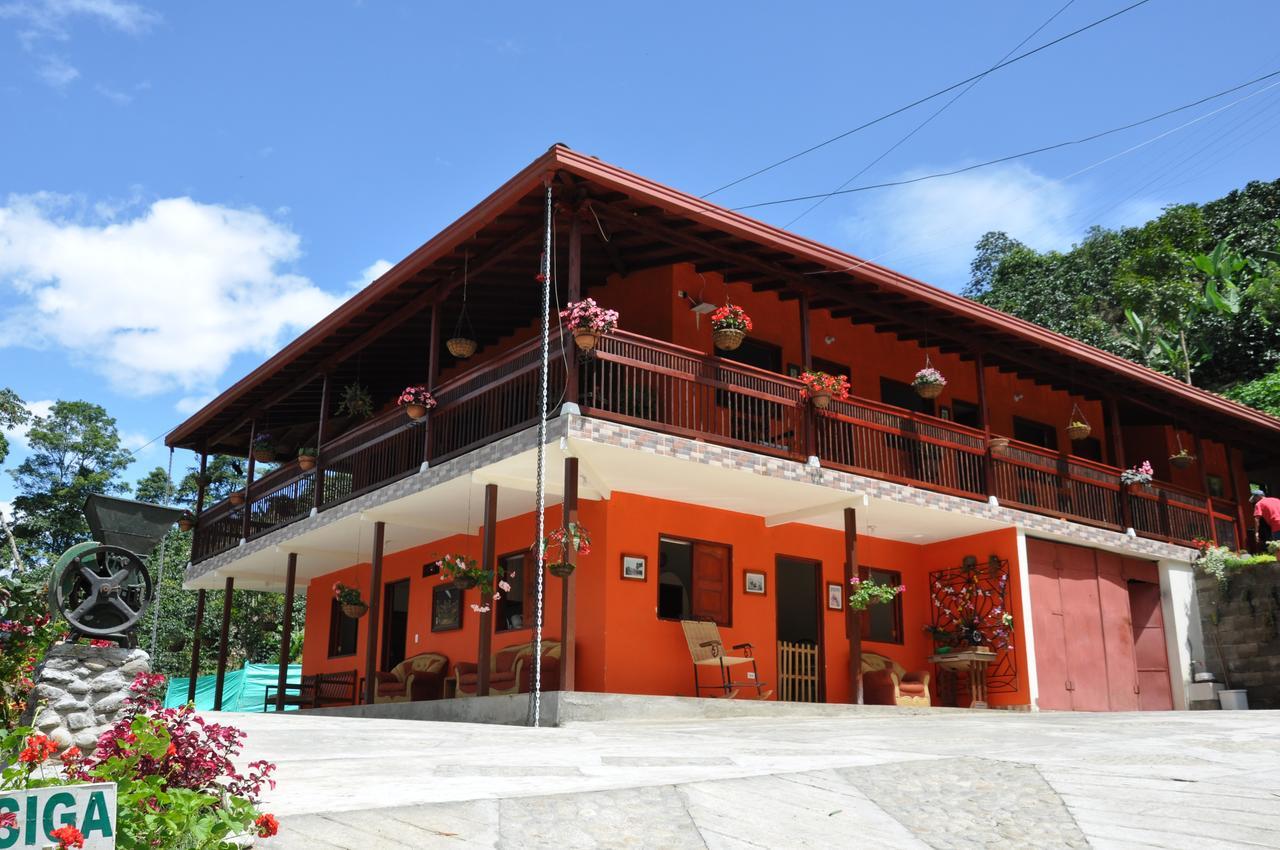 Hotel Orillas Del Pizano Jardin Kültér fotó